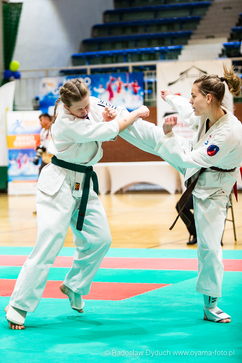 Ewa Jaworowicz wykonywa mawashi-geri jodan